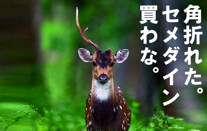 ブランディングってなに？「ブランド認知、再認と再生」